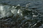 Ostsee, kleine Wellen