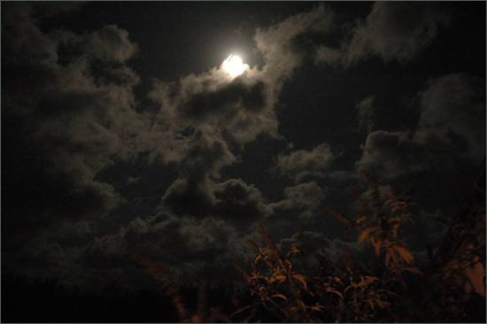 Mondnacht auf Bornholm