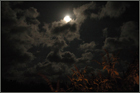 Mondnacht auf Bornholm, Foto